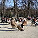 lectures au soleil