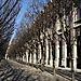 les alignements du Palais Royal en hiver