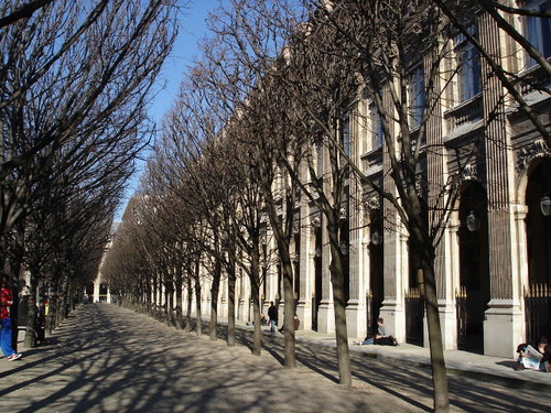 les alignements du Palais Royal en hiver