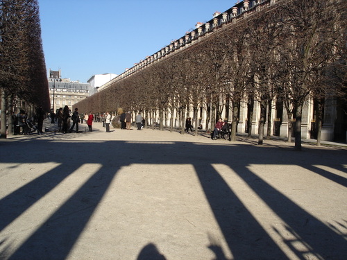 Les ombres des colonnes en hiver